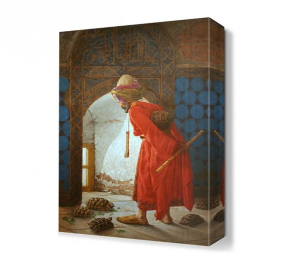 Kaplumbağa Eğiticisi Canvas Tablo - 1