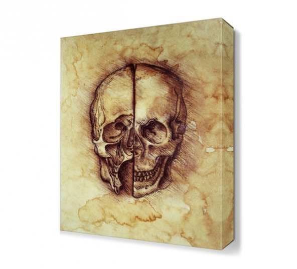 Skull Da Vinci Çizim Anatomi Canvas Tablo - 1