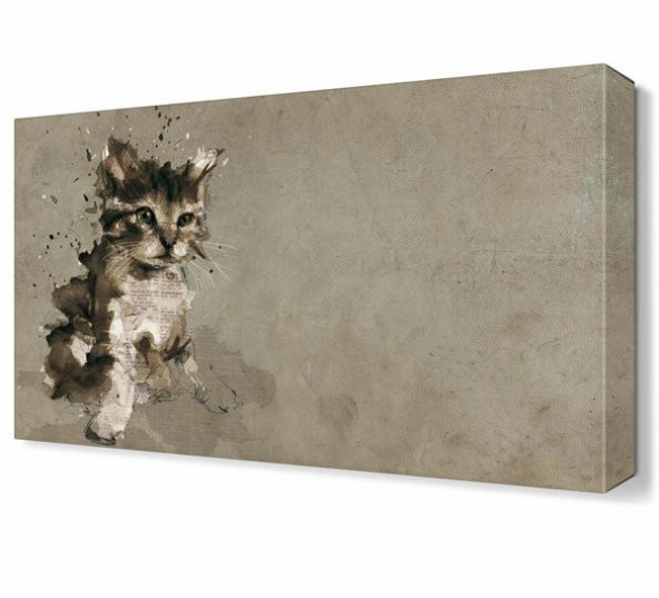 Kedi Canvas Tablo