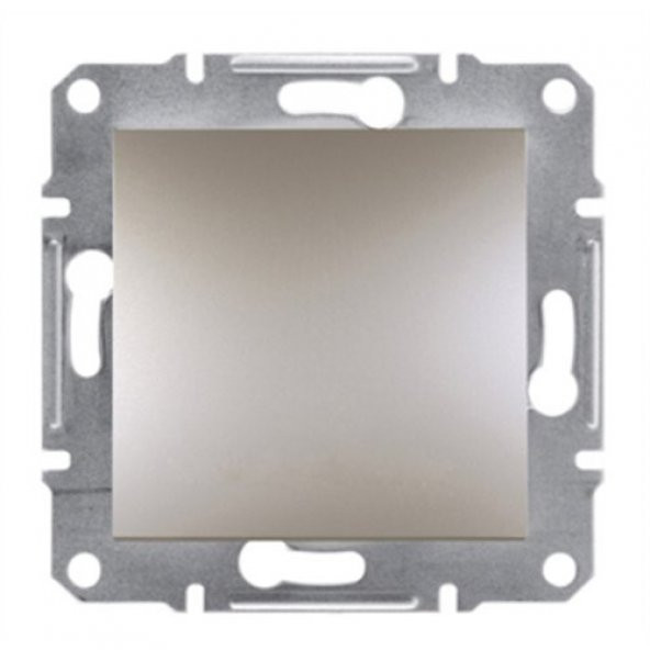 Schneider Asfora Bronz Renk Anahtar Eph0100169