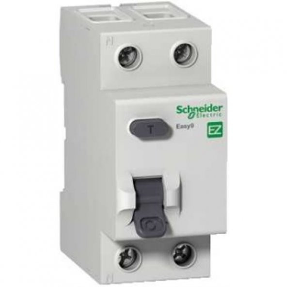 Schneider 2X40 Amper 300 Ma Kaçak Akım Rölesi Ez9r63240