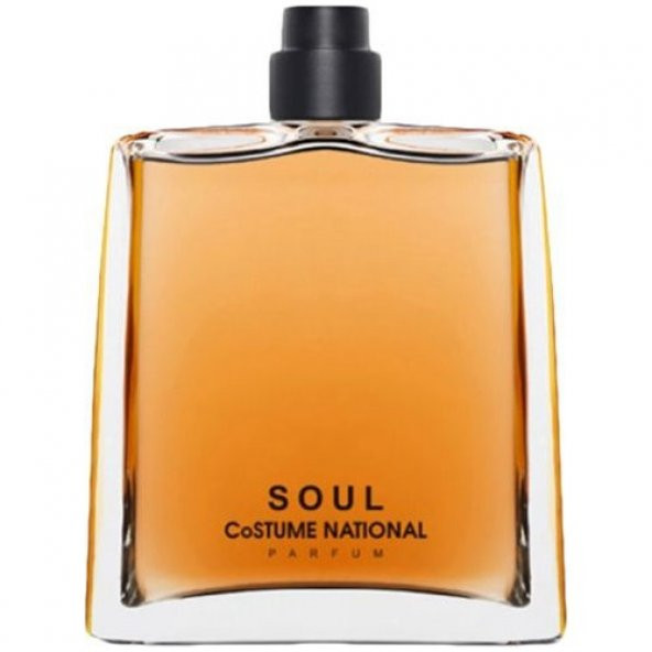 Costume National Soul Edp 100 ml Unisex Parfüm