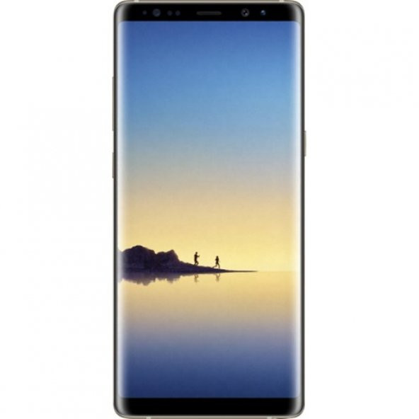 Samsung Galaxy Note 8 64 GB Orkide Grisi (Samsung Türkiye Garanti