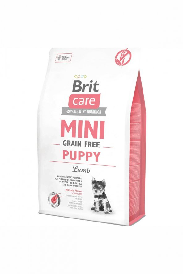 Brit Mini Tahılsız Kuzu Etli Yavru Köpek Maması 2 Kg