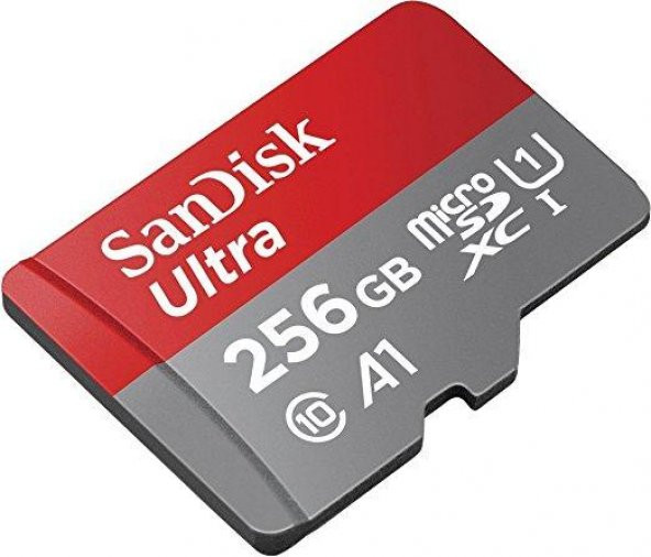 Sandisk 256GB micro SD 100MB/S C10 Hafıza Kartı SDSQUAR-256G-GN6MA