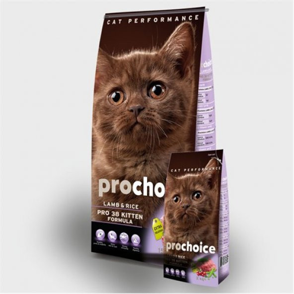 Prochoice Pro 38 Kuzulu Yavru Kedi Maması 2Kg