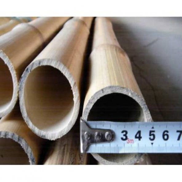 Bambu Cubuk 3 Adet 200 Cm Uzunluk 40-50 mm Çap Dekoratif Bambu Bitki Destek Çubuğu