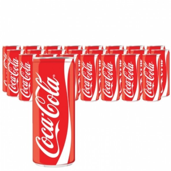 Coca Cola 250 ml x 24 Adet