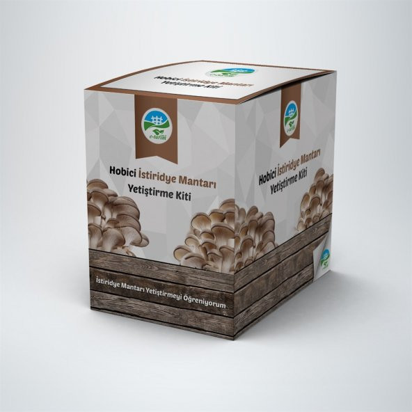Yabidur İstiridye Mantar Yetiştirme Kiti 3 Kg