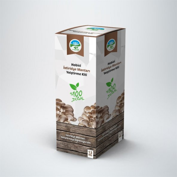 Yabidur İstiridye Mantar Yetiştirme Kiti 13 Kg