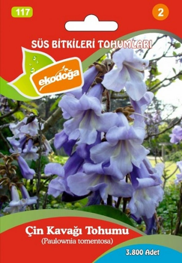 Çin Kavağı Tohumu  1 Gr (3,800 Adet) Paulownia Tomentosa Çin Kavak Tohumu Kavak Tohumu Çin Kavağı