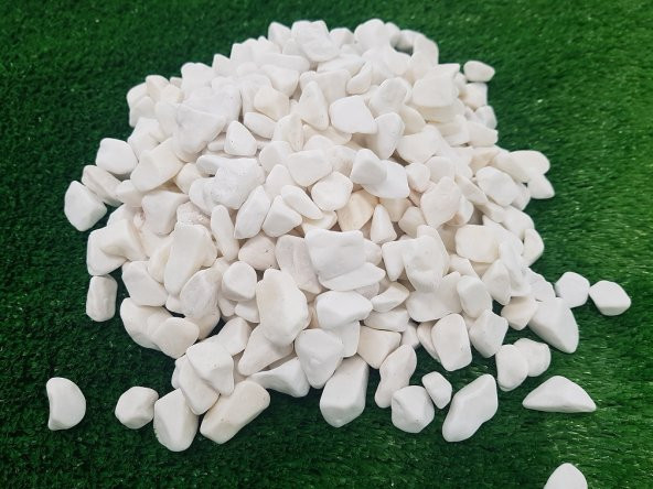 Beyaz Dolomit Taş 1 Kg 1,5-2,5 Cm Beyaz Dolamit Taşı Dere Taşı Çakıl Taşı Doğal Taş Bahçe Süs Taşı Dekor Taşı Dekoratif Taş - 3