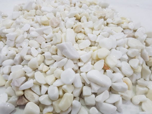 Beyaz Dolomit Taş 1 Kg 1,5-2,5 Cm Beyaz Dolamit Taşı Dere Taşı Çakıl Taşı Doğal Taş Bahçe Süs Taşı Dekor Taşı Dekoratif Taş - 6