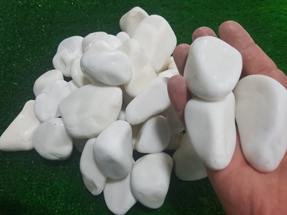 Beyaz Dolomit Taş 5 Kg 2,5-4 Cm Beyaz Süs Taşı Dekorasyon Taşı Çakıl Taşı Doğal Taş Bahçe Taşı Dekor Taşı Dolamit Taş Dere Taşı - 3