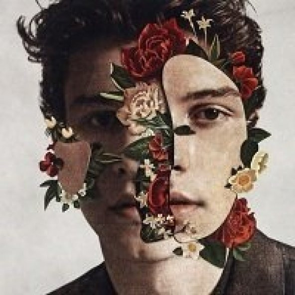 SHAWN MENDES - SHAWN MENDES