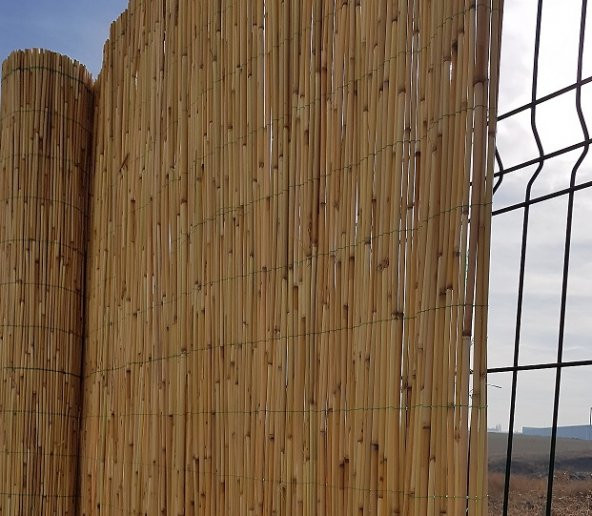 Bambu Cit 1,5x4,5= 6,75 m2 Kamış Çit Dekoratif Çit Rulo Bambu çit Hasır Çit - 3