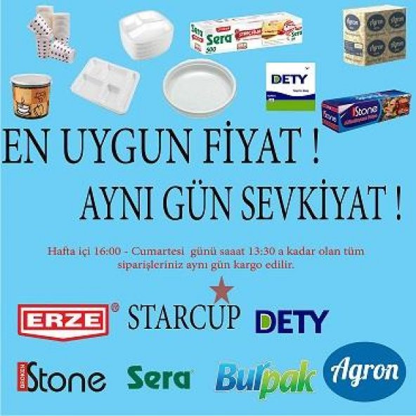 Lüks Kaşık 100 Adet - 2