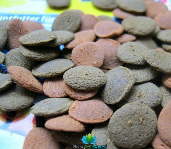 Tetra Wafermix 15Gram Vatoz Dip Yemi