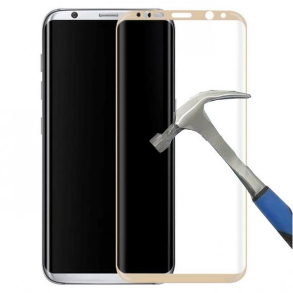 Samsung Galaxy S8 Plus TAM Kapatan Cam Gold