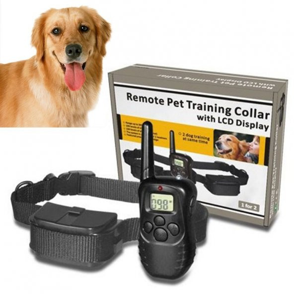 300 Metre Mesafeli Köpek Eğitim Tasması Dog Training Collar