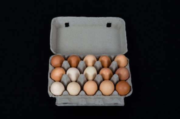 Karton Kapaklı Yumurta Viyolü 15'Li - 200 Adet ( Viyol, Kolisi, Kartonu, Kabı )