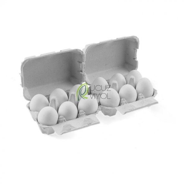 6 LI KARTON KAPAKLI YUMURTA VİYOLÜ - 2