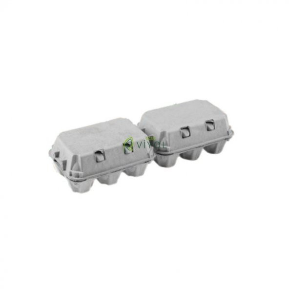 6 LI KARTON KAPAKLI YUMURTA VİYOLÜ - 3