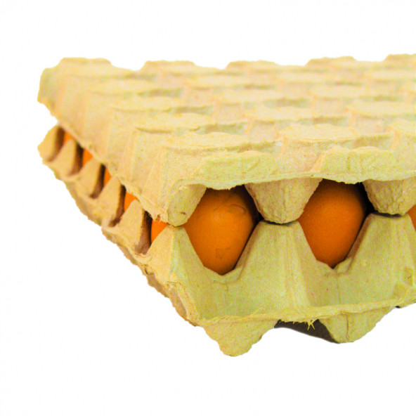 30 LU VİYOL KAPAĞI  50 ADET - Resim 4