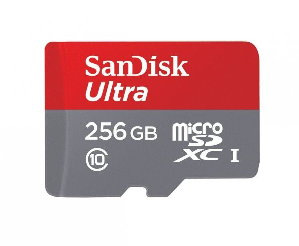 SANDISK SANDISK 256 GB Ultra 95 MB Class 10 UHS-I Micro SD SDSQUNI-256G-GN6MA
