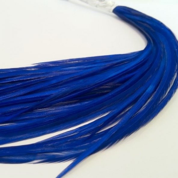 Saç Tüyü Mavi