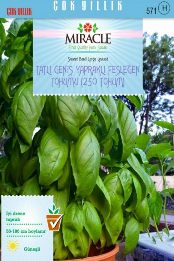 Tatlı Geniş Yapraklı Fesleğen Tohumu (100 gram)