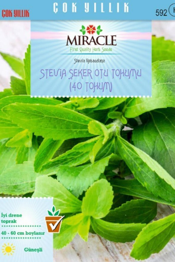 Doğal Stevia Şeker Otu Tohumu (40 tohum)