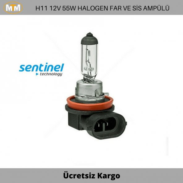 H11 Halogen Far ve Sis Ampülü 12V 55W - 1