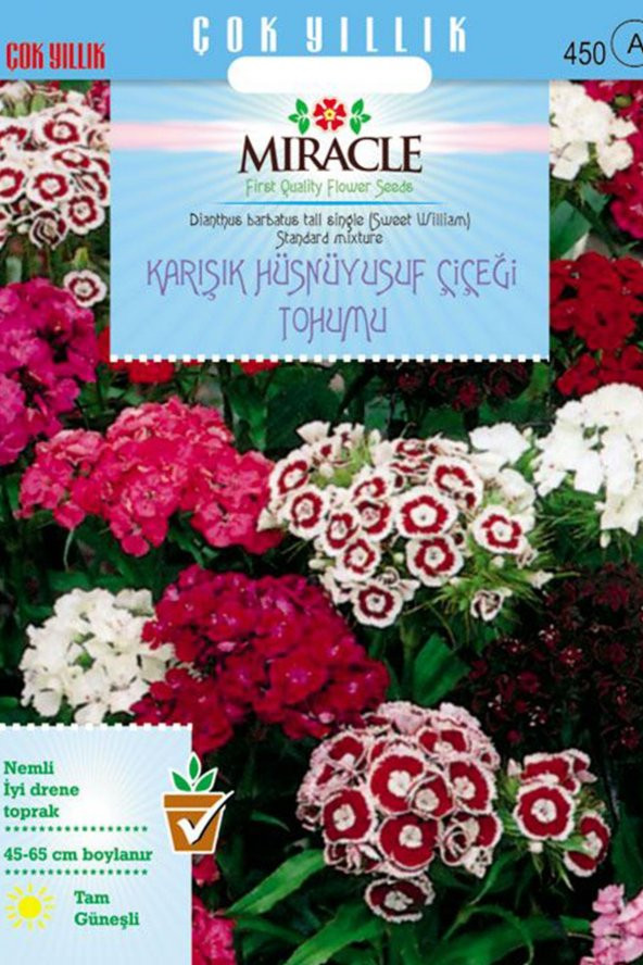 Miracle Uzun Boylu Karışık Renkli Hüsnü Yusuf Çiçeği Tohumu (690