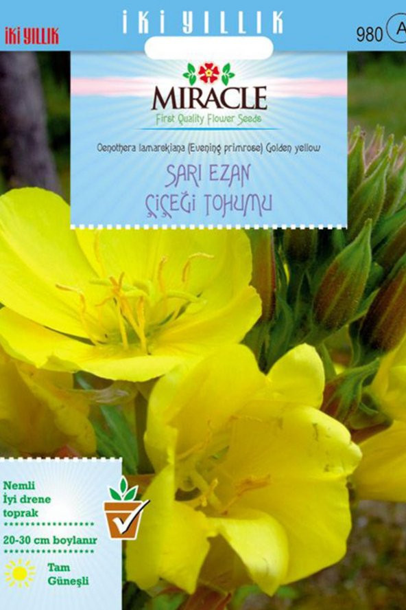 Miracle Ezan Çiçeği Tohumu(480 tohum)