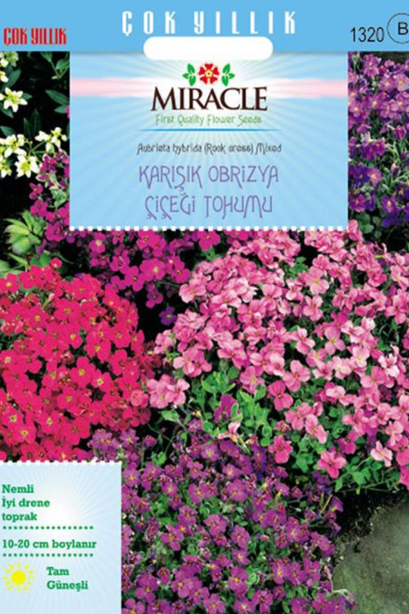 Miracle Rock Cress Aubrieta Karışık Renkli Obrizya Çiçeği Tohumu