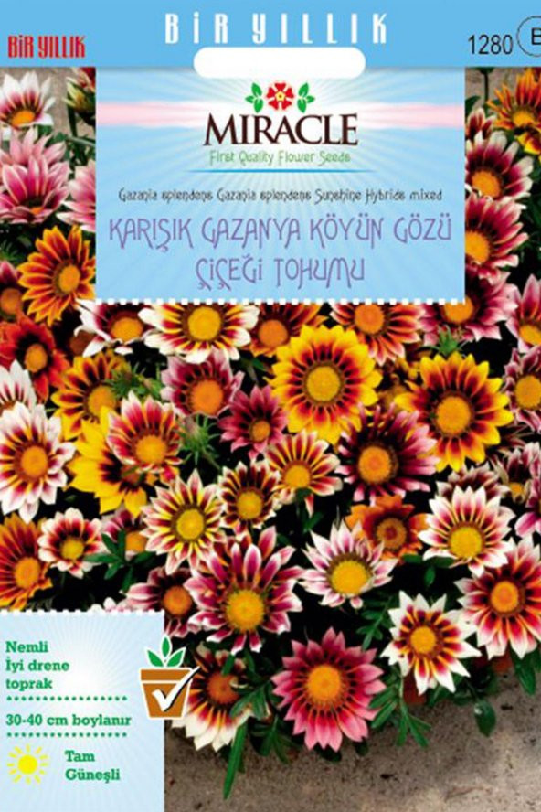 Miracle Karışık Renkli Koyun Gözü Gazanya Çiçeği Tohumu(78 tohum)