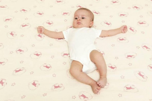 Ninniline Müslin Çok Amaçlı Örtü