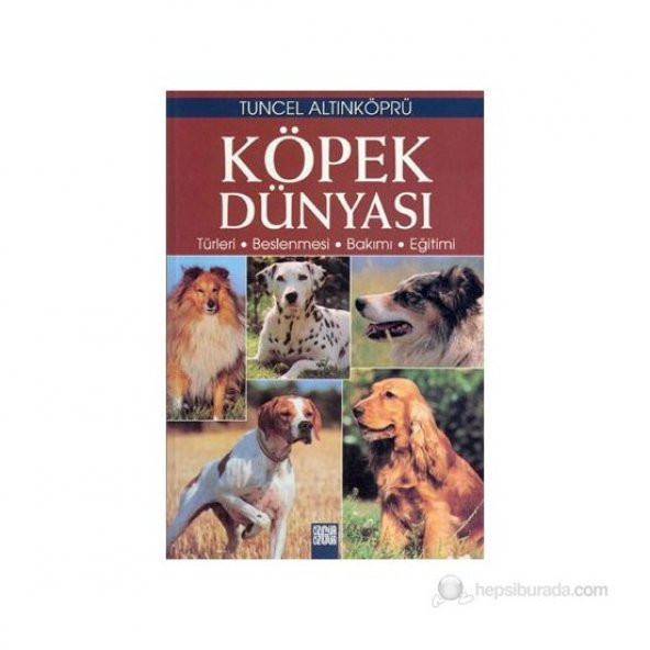 Köpek Dünyası