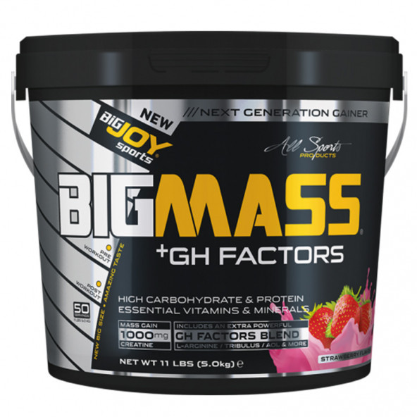 BigJoy BigMass GH Factors Gainer 3000g Karbonhidrat Tozu 3 Aroma