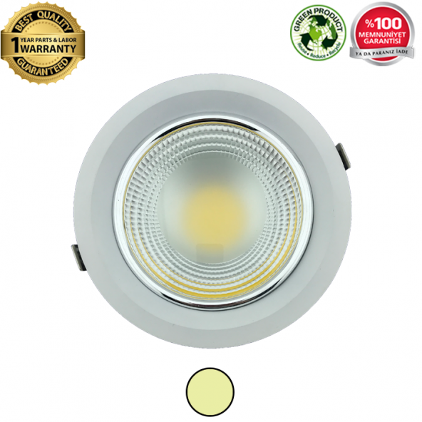 20W Oval Cam LED Armatür (Downlight) Gün Işığı