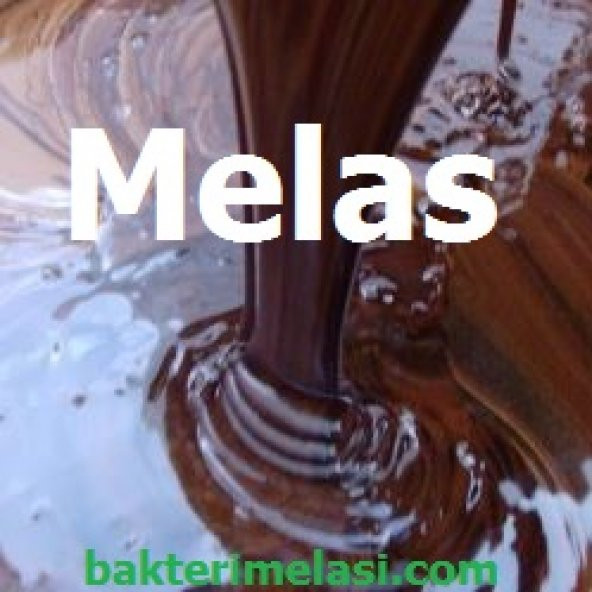 Melas 1.5 kg - Sülfürsüz Şeker Pancarı Melası - 2