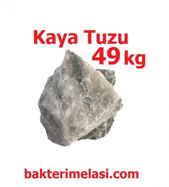 Kaya Tuzu 49 kg - Hayvanlara Tuz