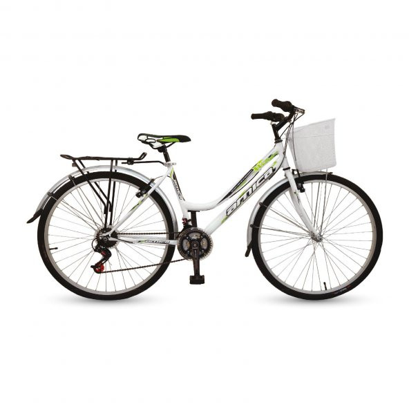 Arnica PVC Çamurluklu Bagajlı Bisiklet