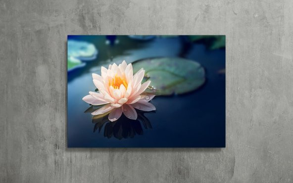 Lotus Çiçek Kanvas Tablo