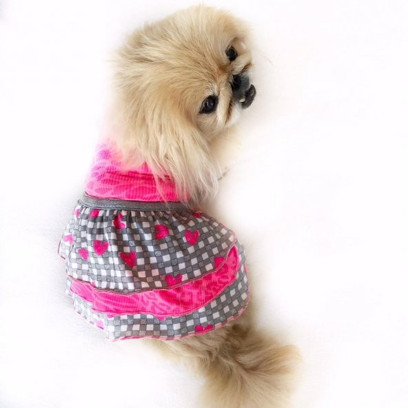 Checkered Pink Hearts Köpek Elbisesi Köpek Kıyafeti