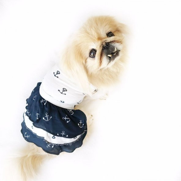 Lacivert Beyaz Sailor Köpek Elbisesi Köpek Kıyafeti