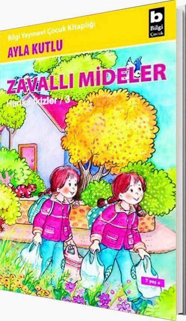 Zavallı Mideler Ayla Kutlu Bilgi Yayınları