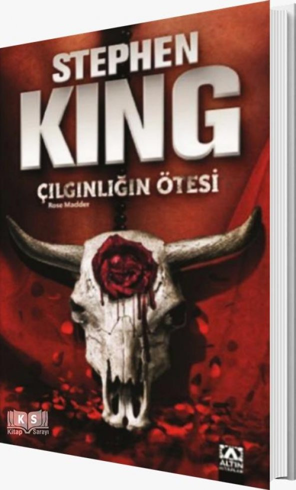 Çılgınlığın Ötesi -  Stephen King - Altın Kitaplar Yayınevi