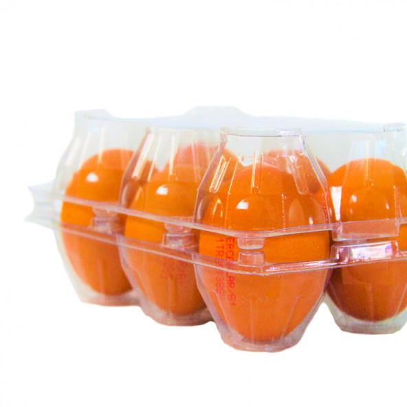 6 LI PLASTİK KAPAKLI YUMURTA VİYOLU - Resim 3